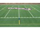 Plevyak_Field.JPG
