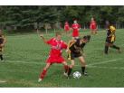 DSC_8184.jpg