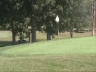More Action on the Greens