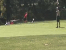 Action on the Greens