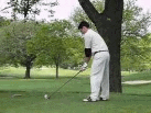 video thumnail