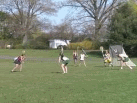 GL - Carter (RBC) with the save