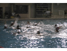 WP-Waterpolo, ILH, Iolani vs Pac 5, Goal Save, 3-20-2008