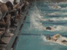 Girls 50-Free - Ferguson (FX)
