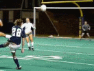 GSOC - Mayrose GWG