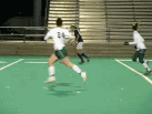GSOC - Mayrose GTG