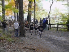BXC - Group II Start