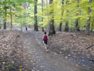 BXC - Group II Downhill