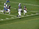 95LB FCYFL: CYA Vikings vs. Reston Seahawks
