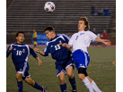 DSC_0019_edited1.jpg