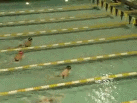 GSW: Noblesville's Rachel Thompson