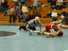 Harlowe Pin