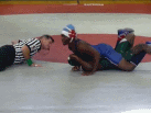 Sanders pin (152)
