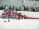 Wootton celebrates behind their own net