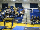 Chantilly's Elly Taura 1st Vault
