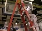 Gavin Peterson Net Cutting