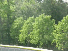 Tyler Croson's over-the-fence ground-rule double