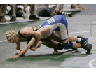 clip_image001.jpg