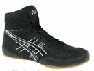 wrestling_shoe.jpg