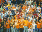 TC-HF_GBB-BBB_036.JPG