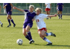 P1010560-1.jpg