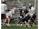 scramble_on_ground_ball.JPG