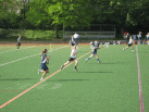 IMG_3331.JPG