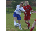 IMG_9533_3_1_edited.JPG