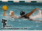 wp_06_copy.jpg