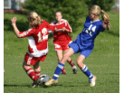 IMG_9631_2_2_edited.JPG