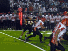 fitzpatrick.jpg